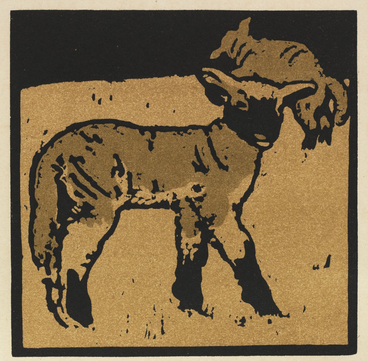 O Livro Quadrado dos Animais: O Cordeiro Muito Manso de William Nicholson