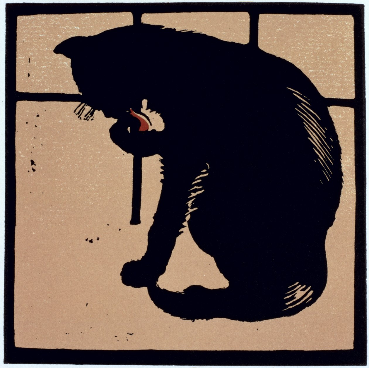O Gato Un-Comum, do 