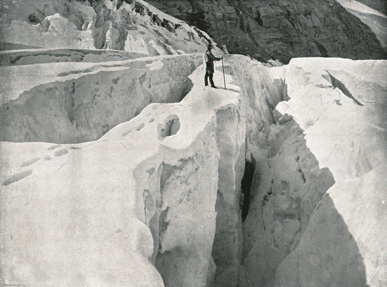 As Montanhas Rochosas: Geleira Asulkan, Hermit Range, Canadá, 1895. de William Notman and Son