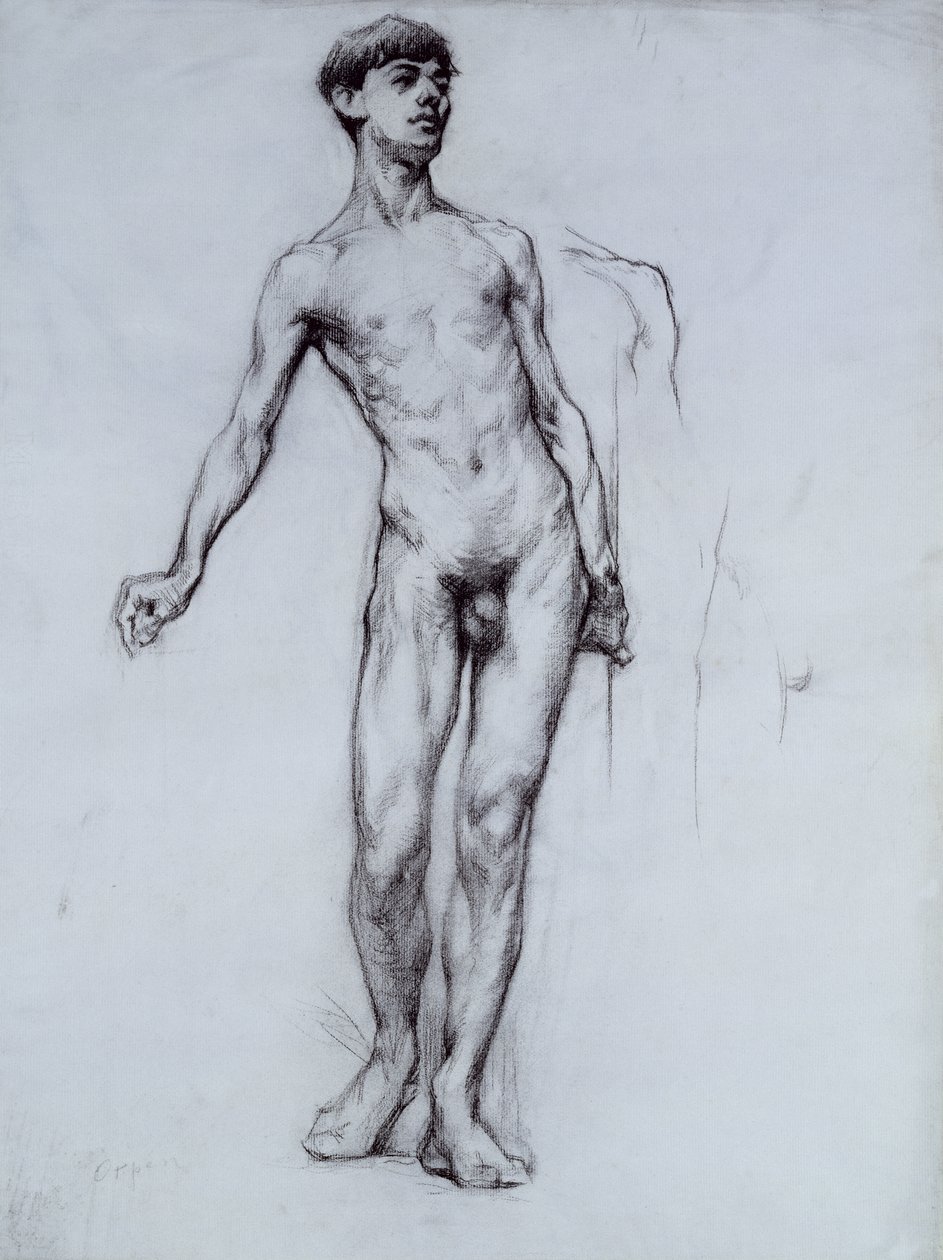 Jovem nu (lápis no papel) de William Orpen