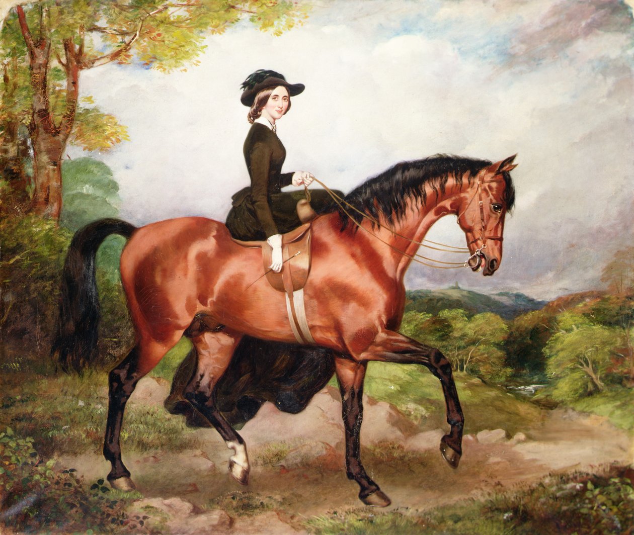 Retrato da Sra. Thomas Conolly de Castletown Co.Kildare (óleo sobre tela) de William Osbourne
