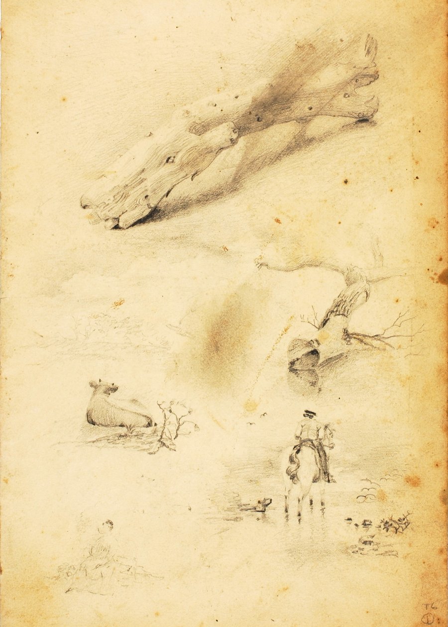 (Estudos - figuras, tronco, cavalo e cavaleiro, etc.) de William Page
