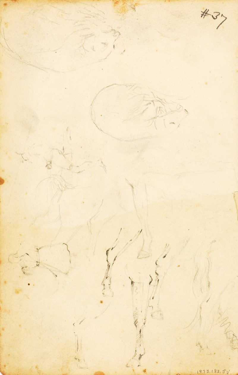 (Estudos - figuras, tronco, cavalo e cavaleiro, etc.) de William Page