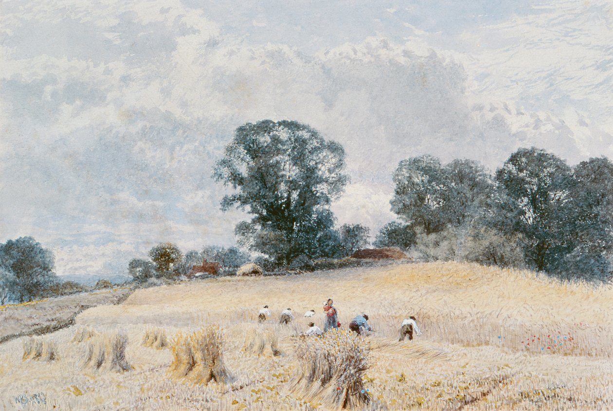 A colheita de William Paton Burton