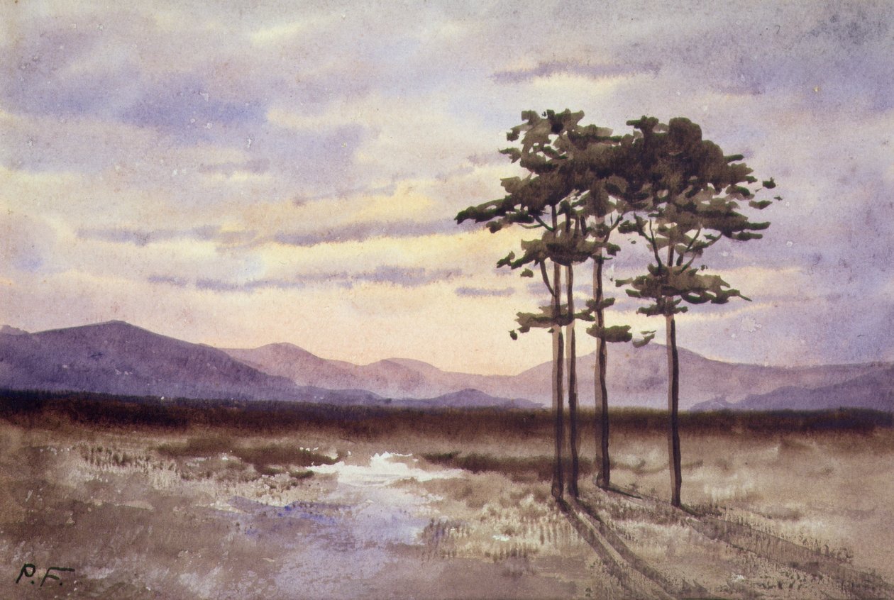 Sunset, Condado de Sligo (aguarela sobre papel) de William Percy French