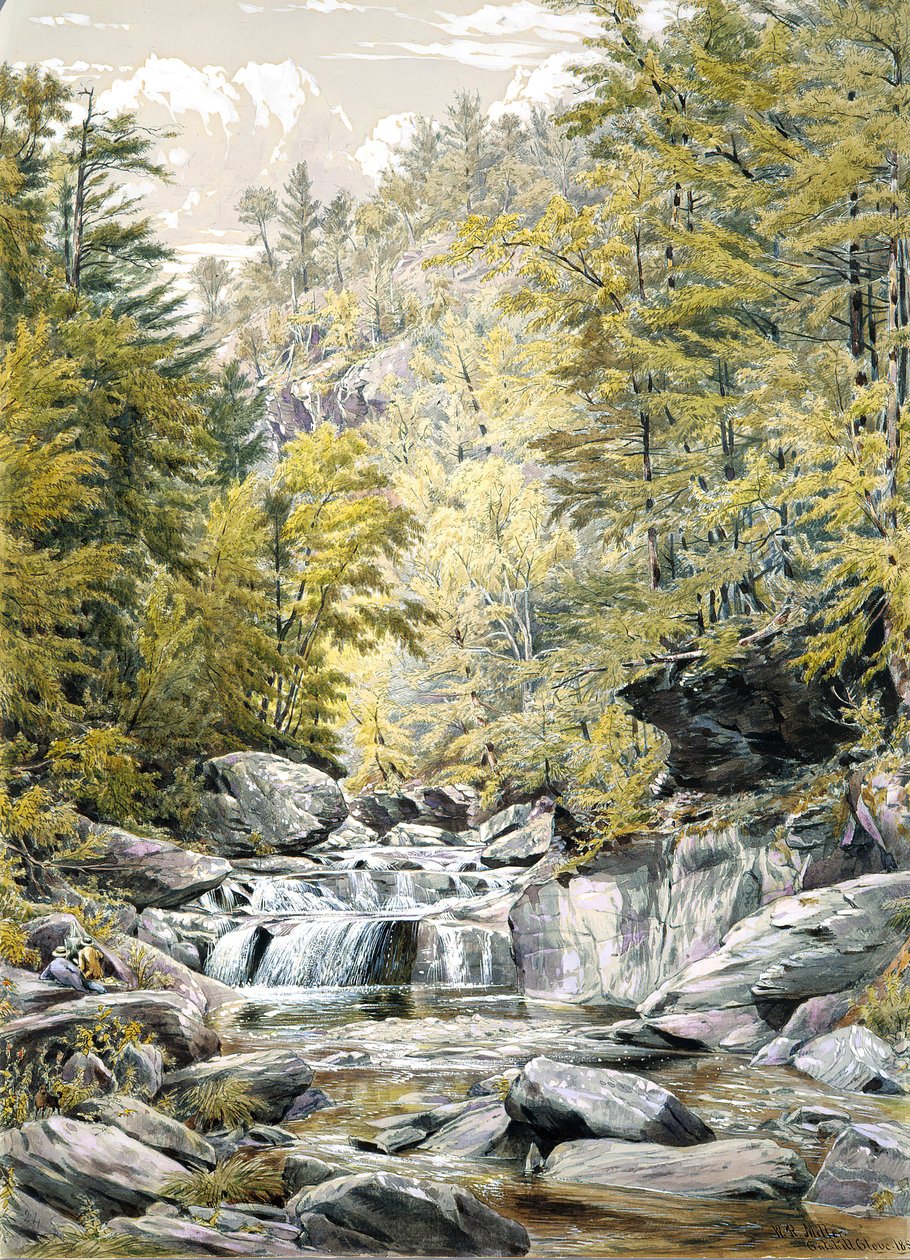 Cravo da índia Catskill, 1856. de William Rickarby Miller