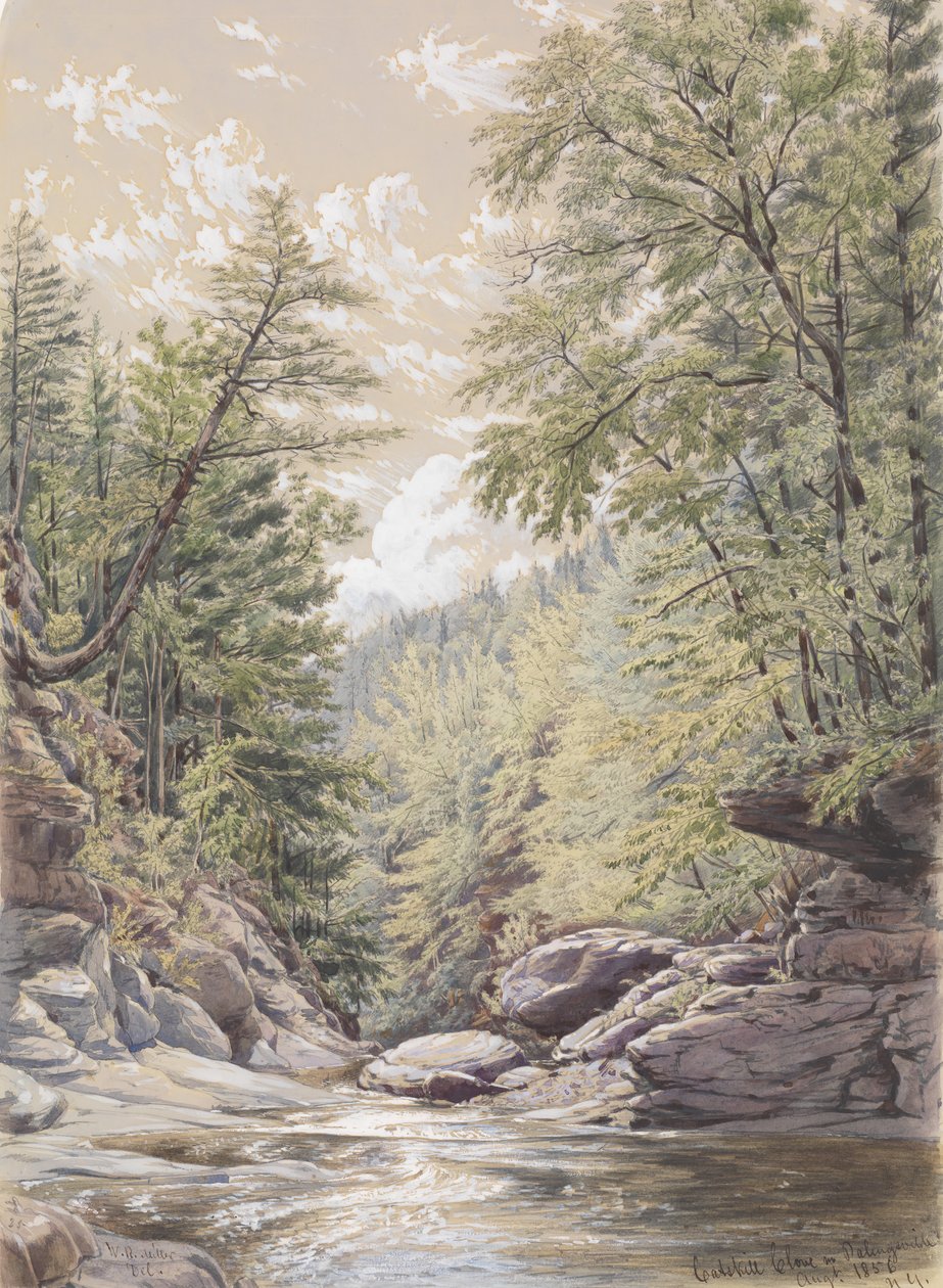 Cravo da índia Catskill em Palingsville, 1856. de William Rickarby Miller
