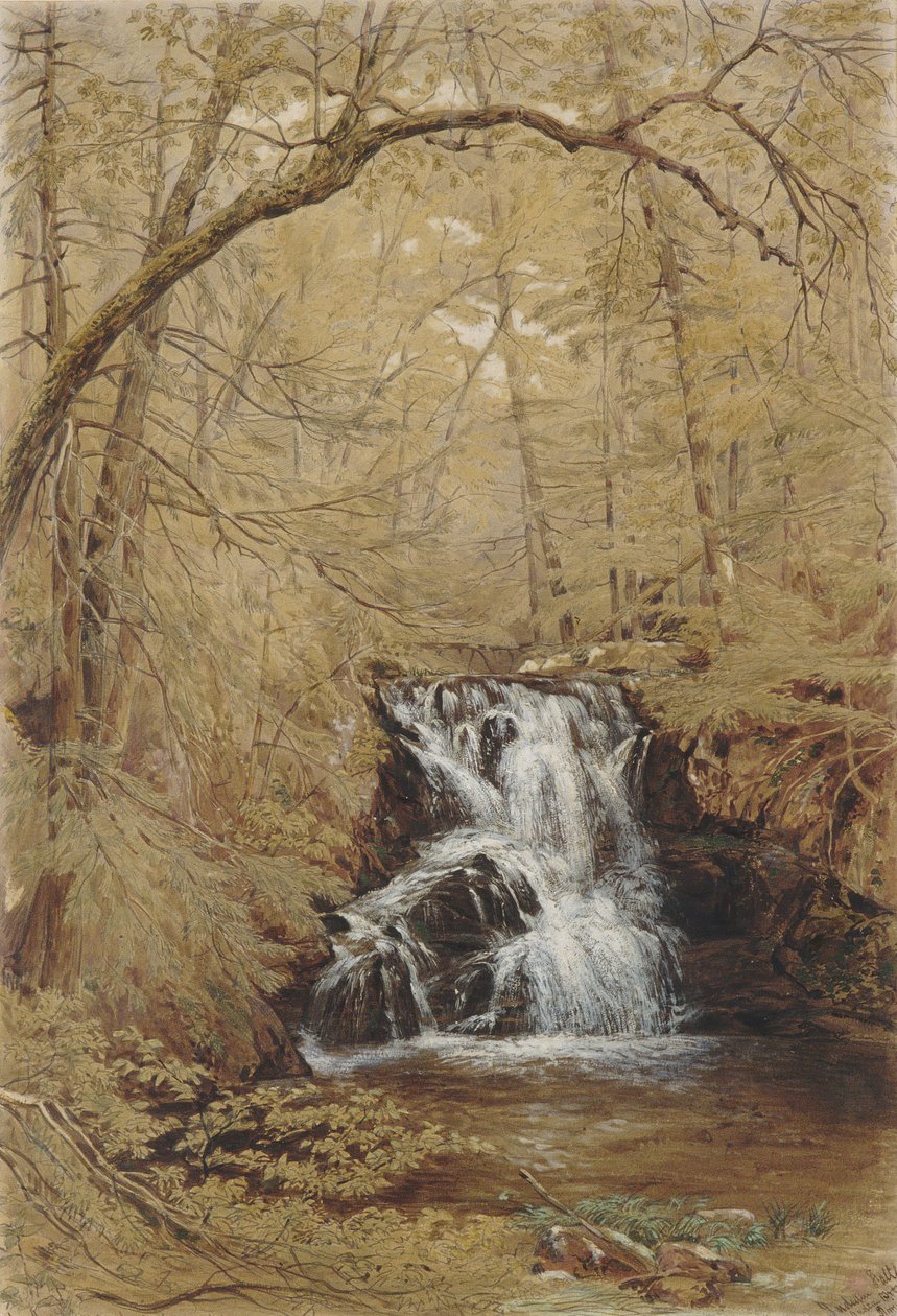 Indian Falls, Indian Brook, Cold Springs, Nova York, 1850. de William Rickarby Miller