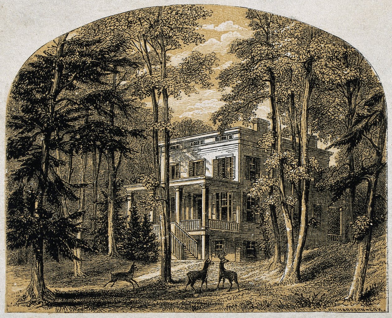 A casa de James John Audubon, "Minniesland" , pub. C 1861 (gravura em madeira) de William Rickarby Miller