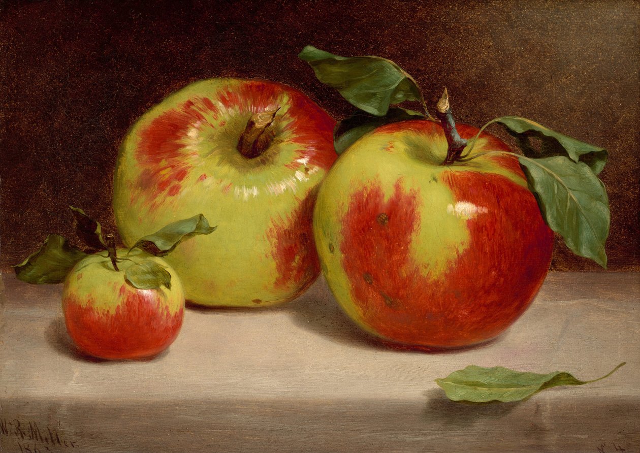 Estudo das maçãs na natureza de William Rickarby Miller