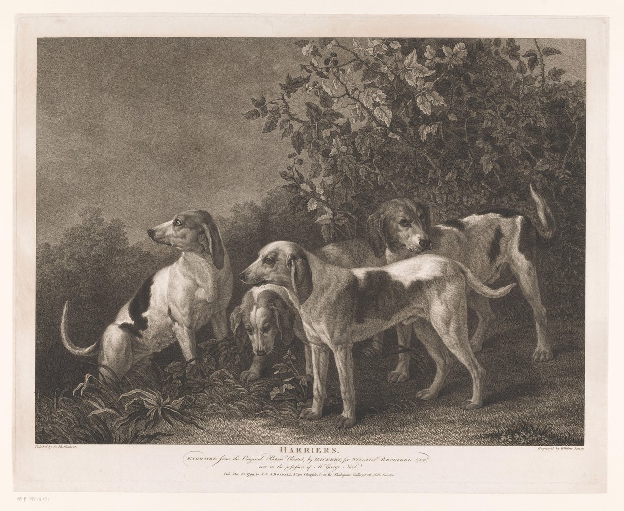 Quatro cães de caça
Harriers (título sobre o objecto) de William Satchwell Leney