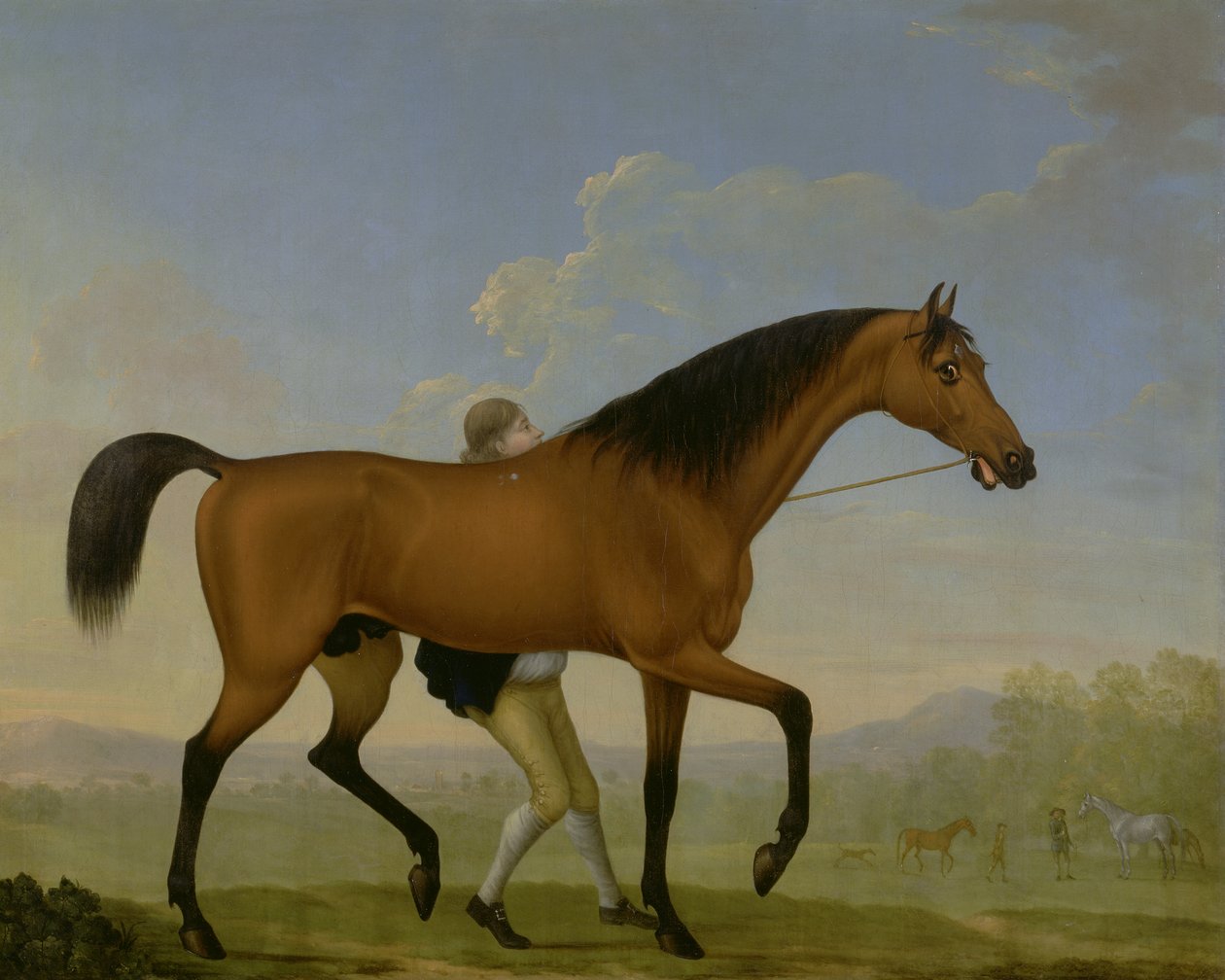 O Duque de Ancasters Bay Stallion, Blank, caminhando em direção a uma égua de William Shaw