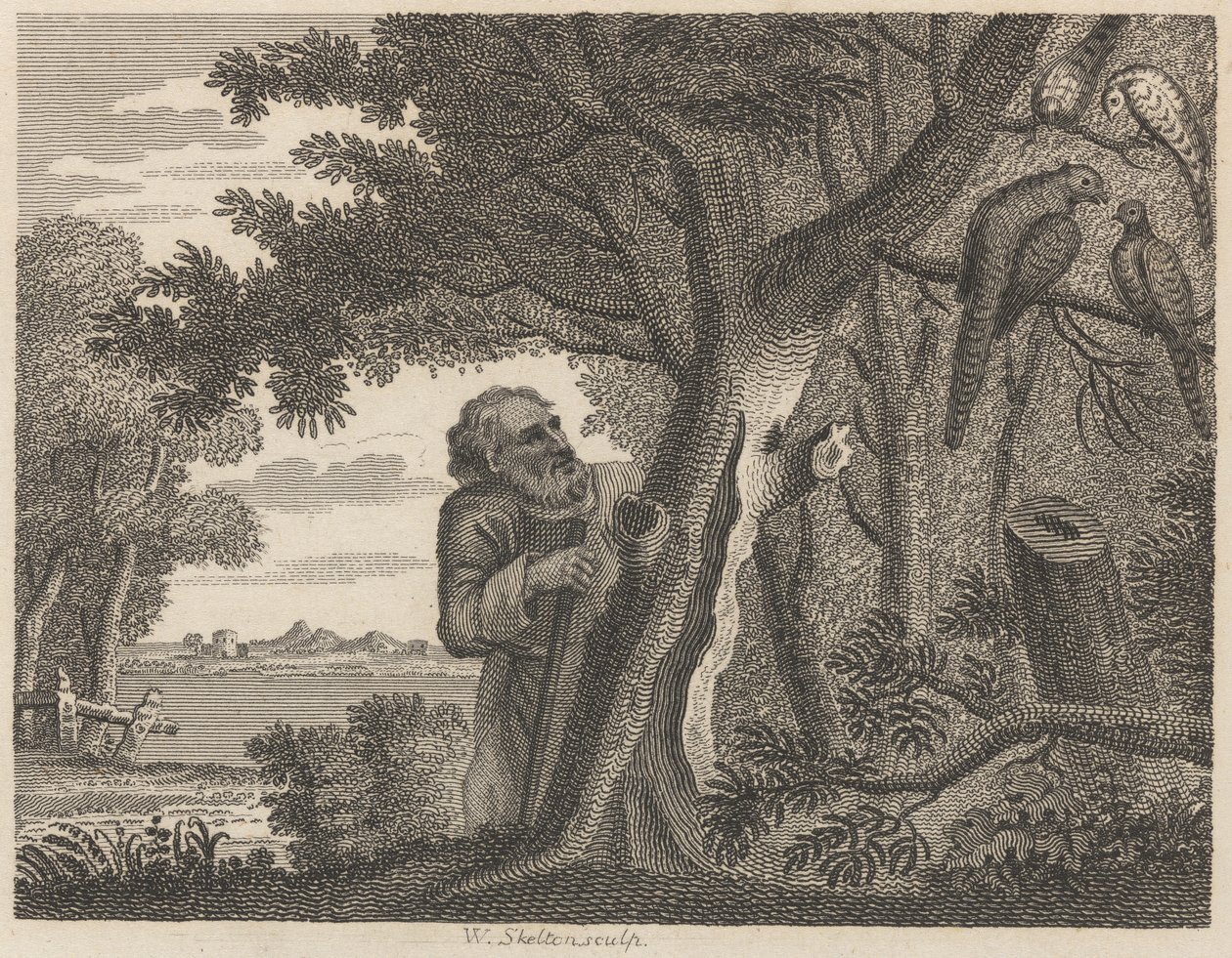 O Filósofo e os Faisões de William Skelton