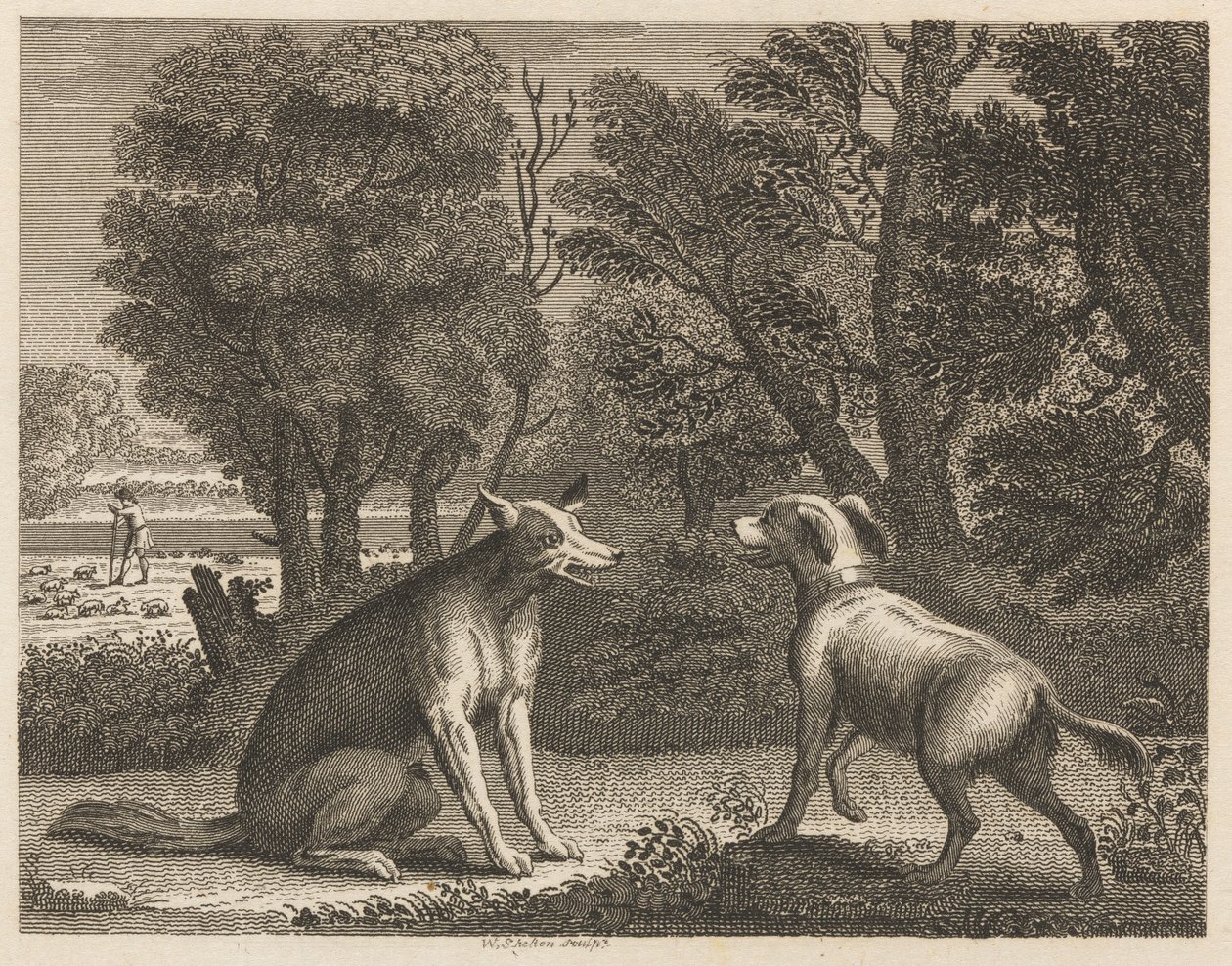 O Cão de Pastor e o Lobo de William Skelton