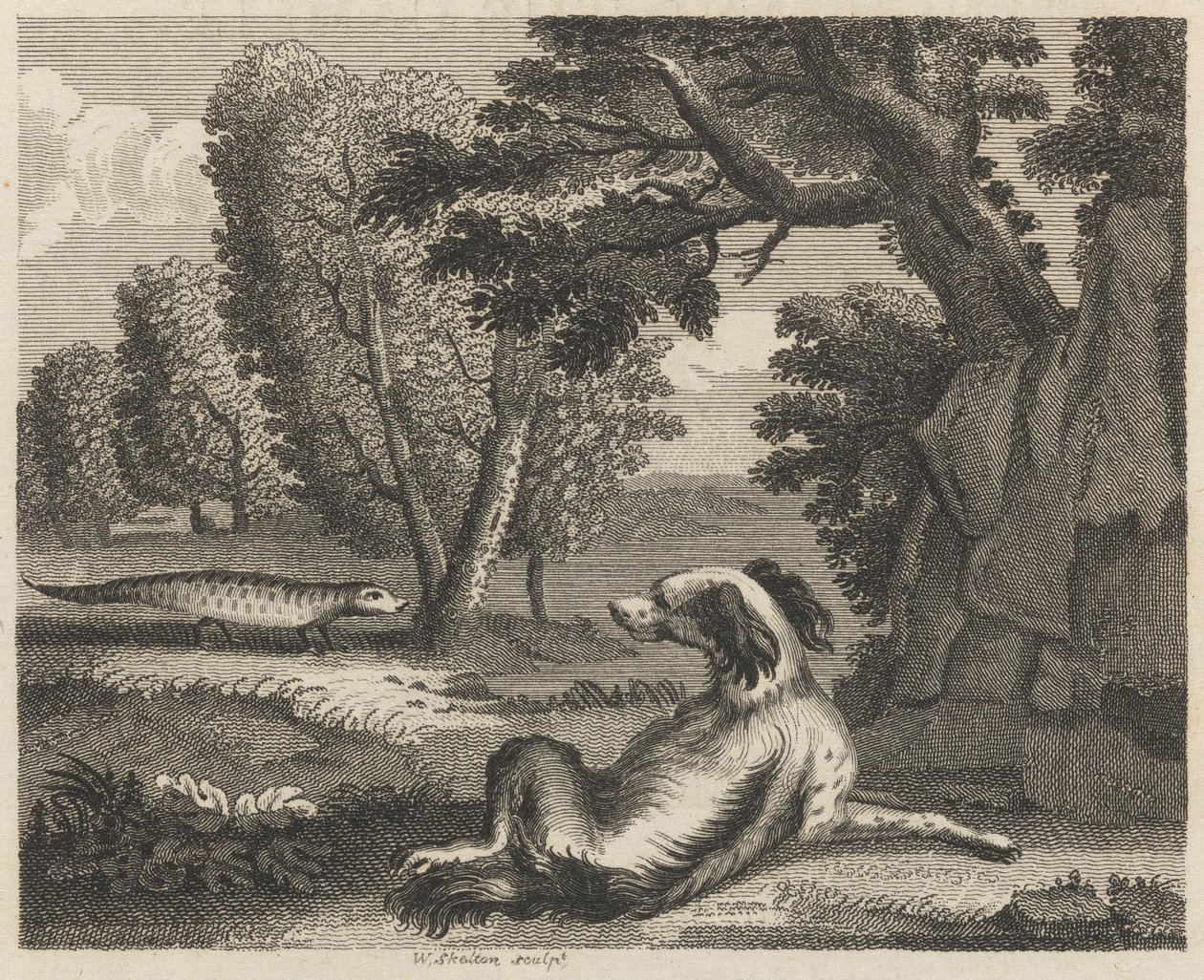 O Spaniel e o Cameleon de William Skelton