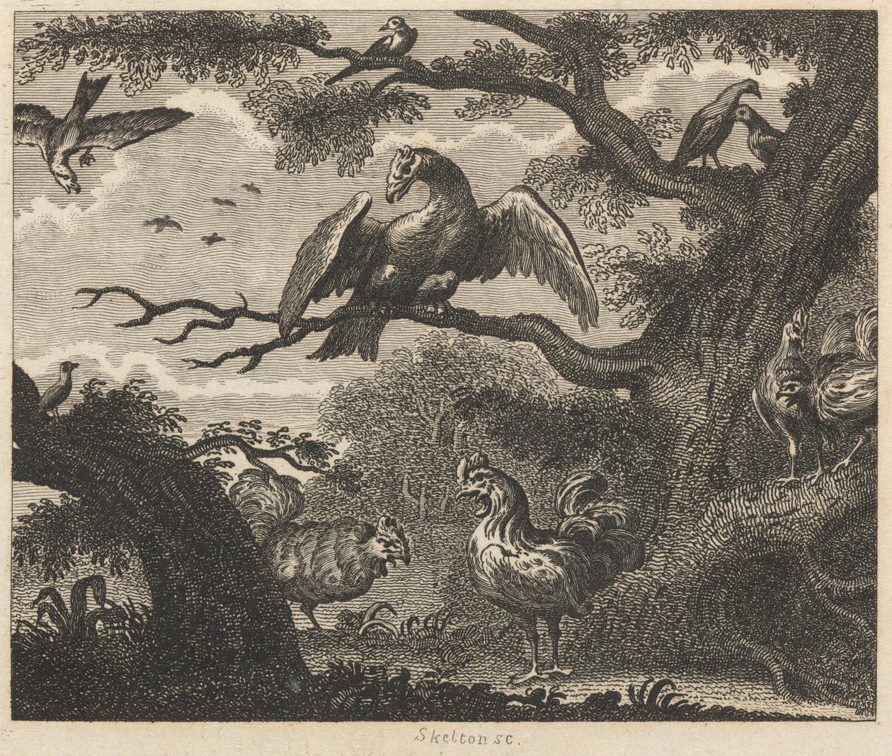 O Abutre, o Pardal, e outras Aves de William Skelton