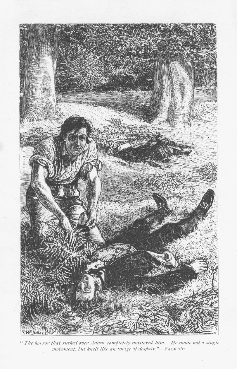 Adam Bede, tendo levado a melhor sobre Arthur Donnithorne numa luta, fica horrorizado ao ver o seu rival deitado inconsciente. Adam Bede, de George Eliot, publicado pela primeira vez em 1859. Ilustração de William Small (1843-1929), de uma edição publicada de William Small