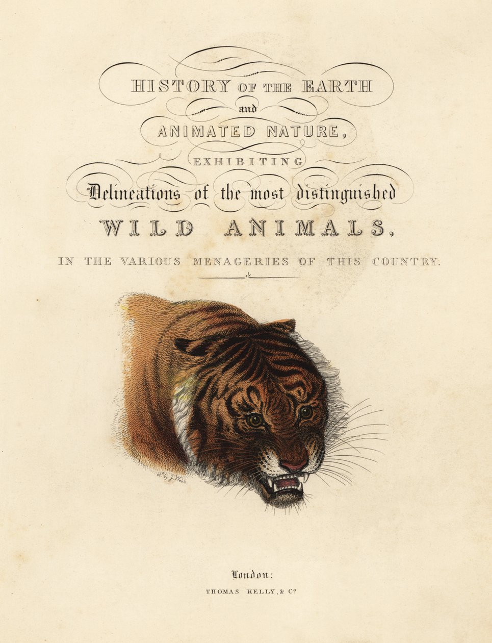Página de título caligráfica com vinheta de tigre de William Smellie