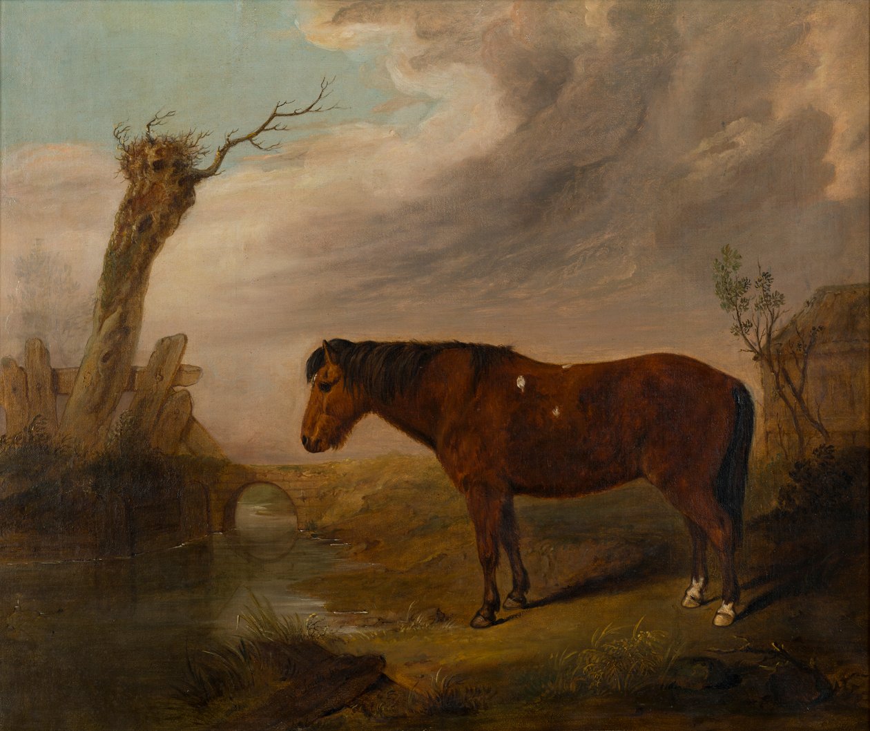 A Bay Pony by a River, c.1823 (óleo sobre tela) de William Smith