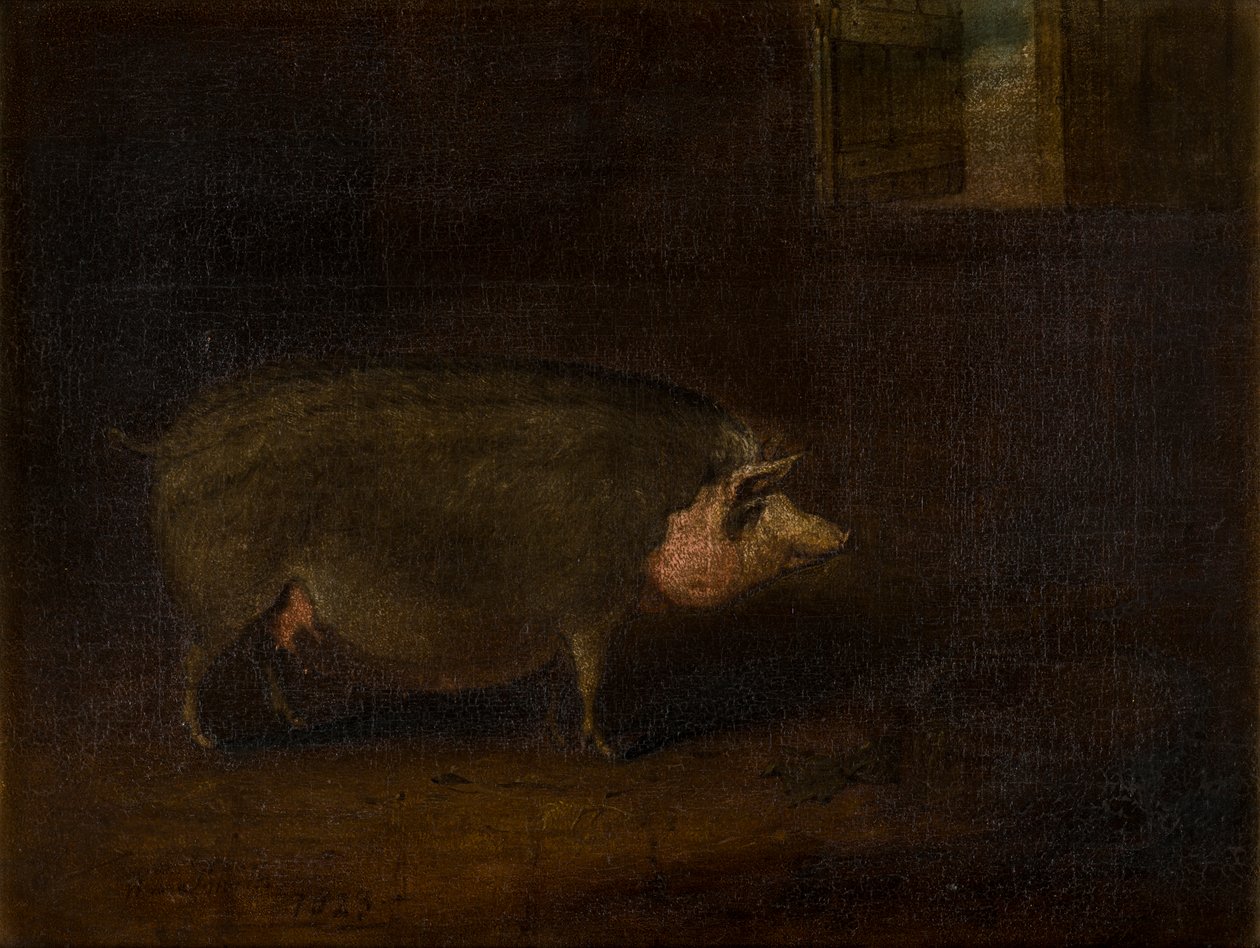 A Pig in a Sty, c.1823 (óleo sobre tela) de William Smith