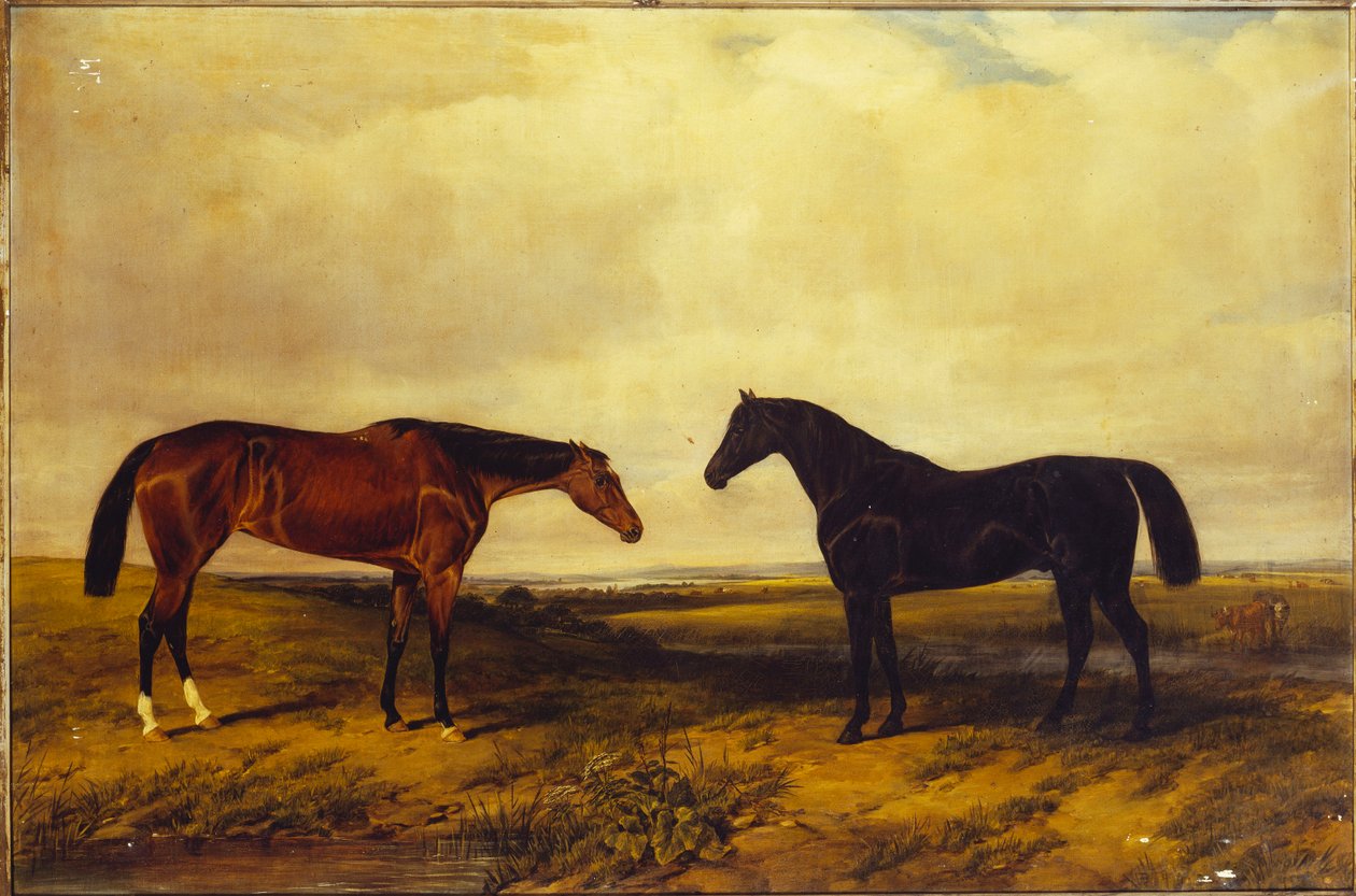 Potro da baía brilhante e garanhão da baía escura do conde de Granard, 1885 de William Snr. Luker