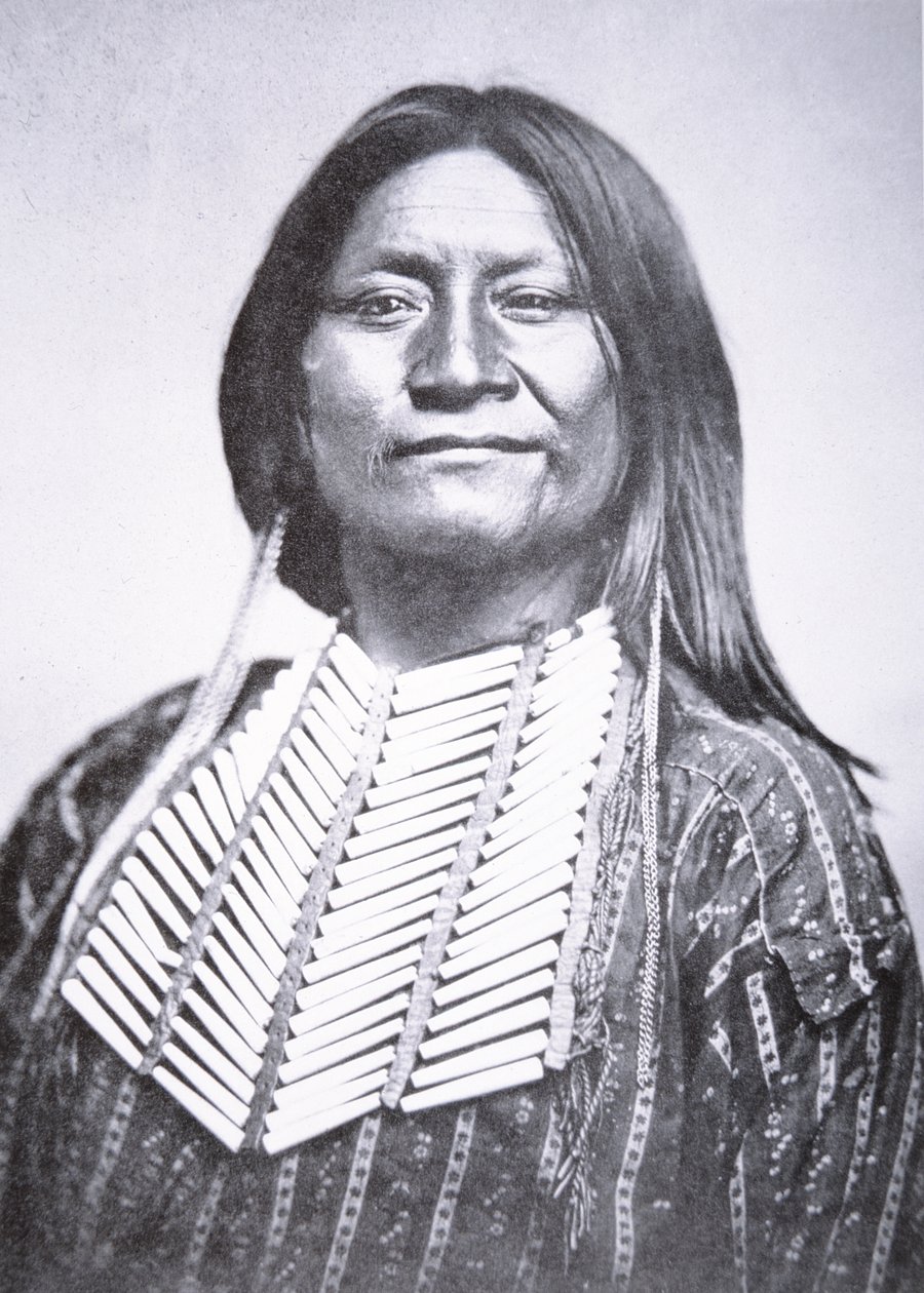 Comanche Tribesman de William Soule