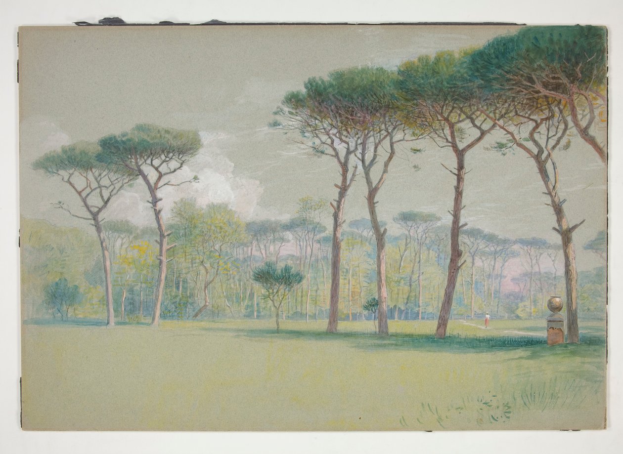 Castel Fusano: Paisagem - vasto gramado e árvores de William Stanley Haseltine