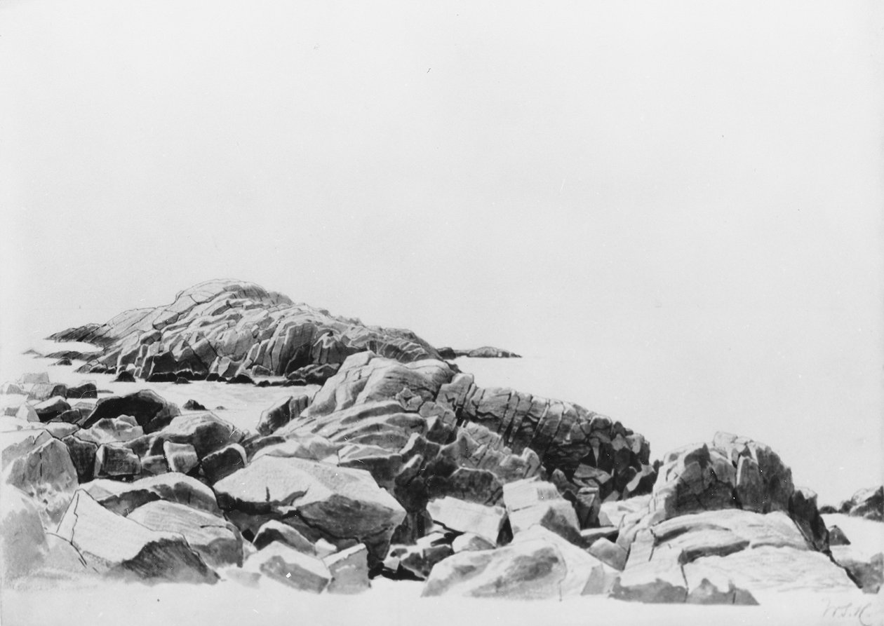 Costa da Nova Inglaterra de William Stanley Haseltine