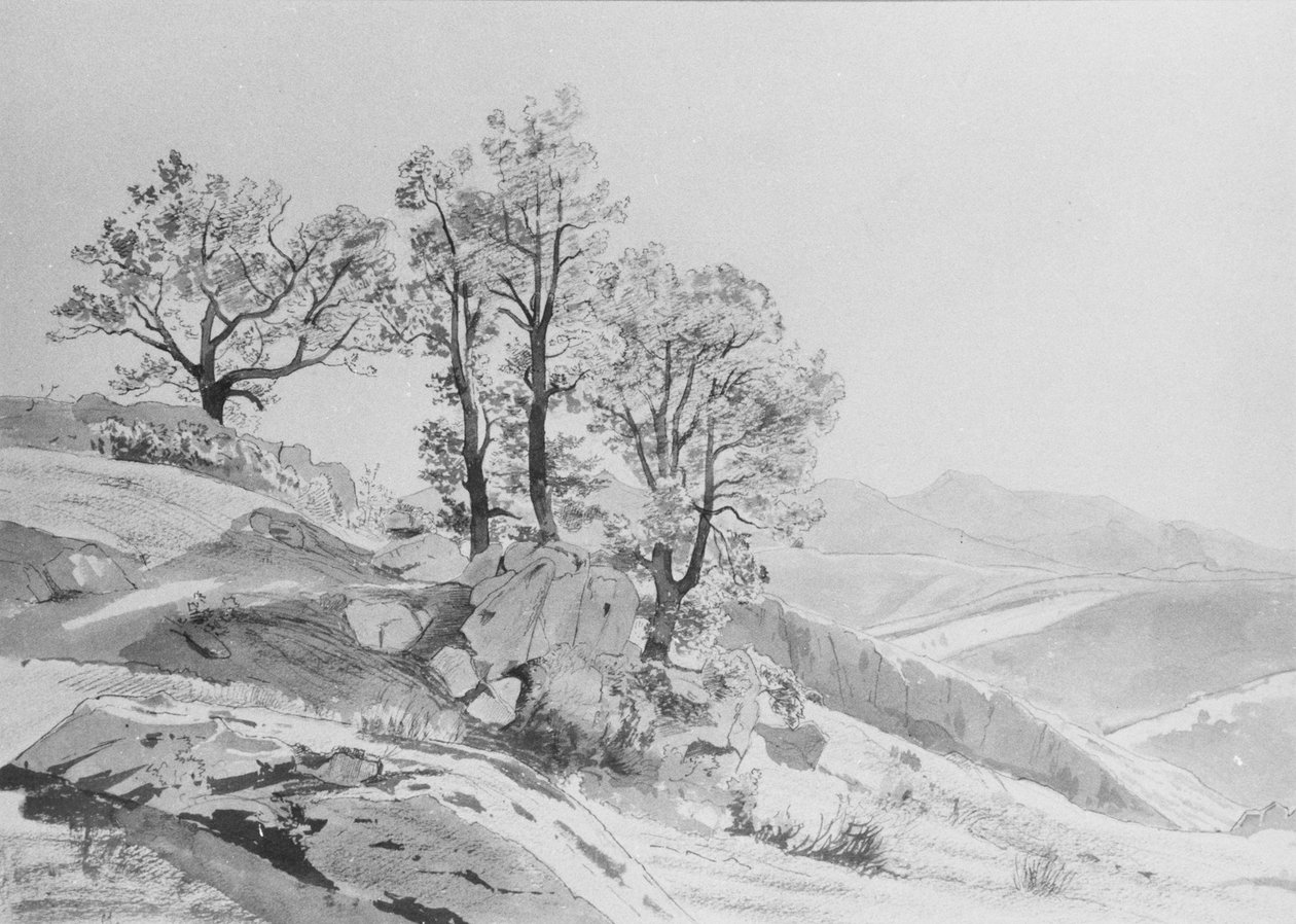 Olevano (Campagna Romana) de William Stanley Haseltine