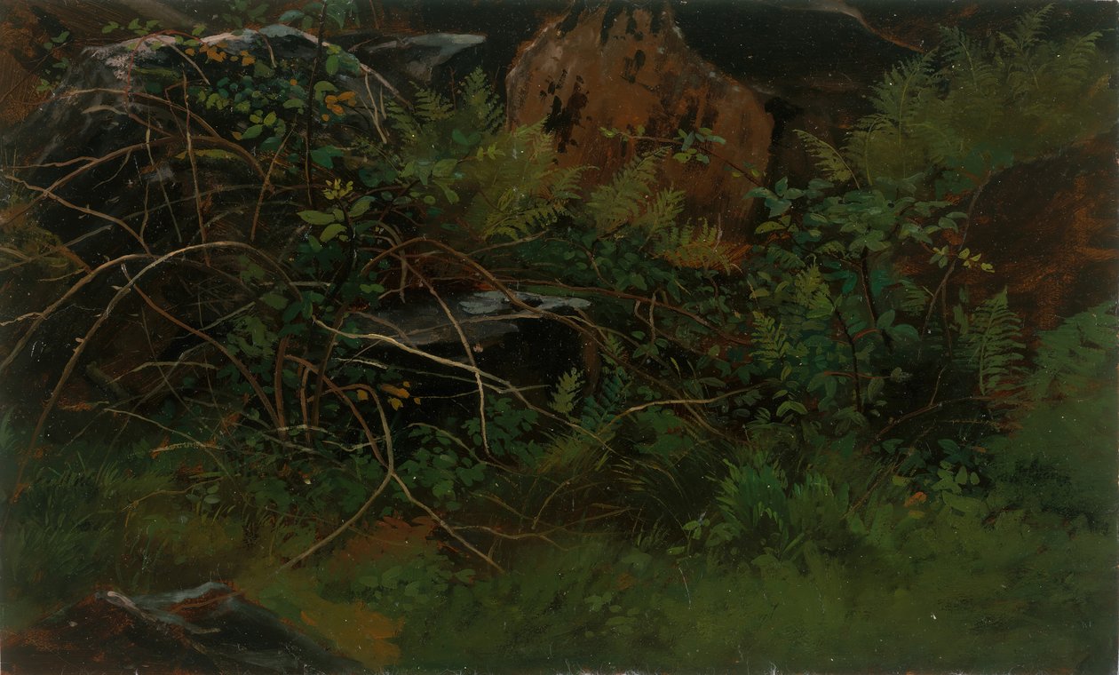 Estudo da Natureza. de William Stanley Haseltine