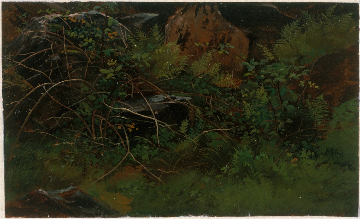Estudo da natureza de William Stanley Haseltine