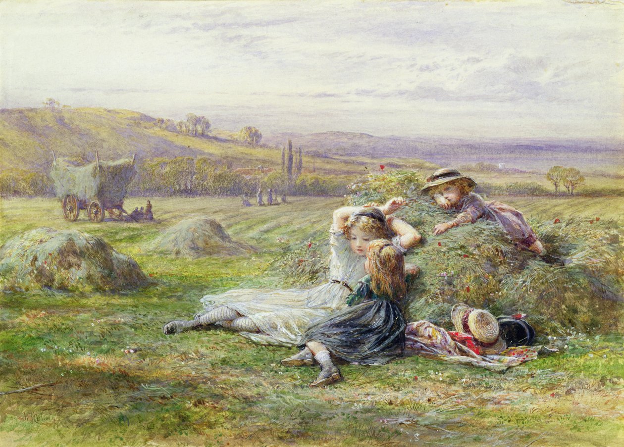 Descansando (wc no papel) de William Stephen Coleman