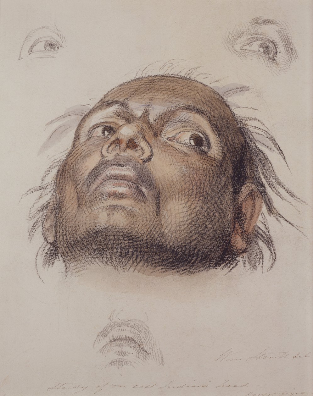 Estudo da Cabeça de um Índio Este, c.1875 (lápis e tinta no papel) de William Strutt
