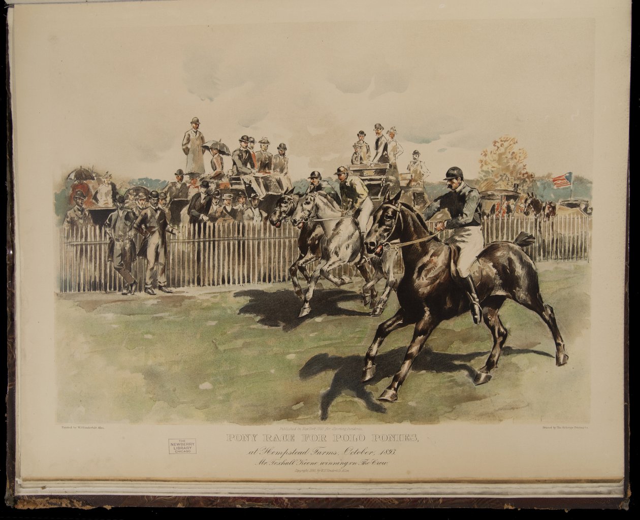 Corrida de póneis para póneis de pólo de William Sullivant Vanderbilt Allen