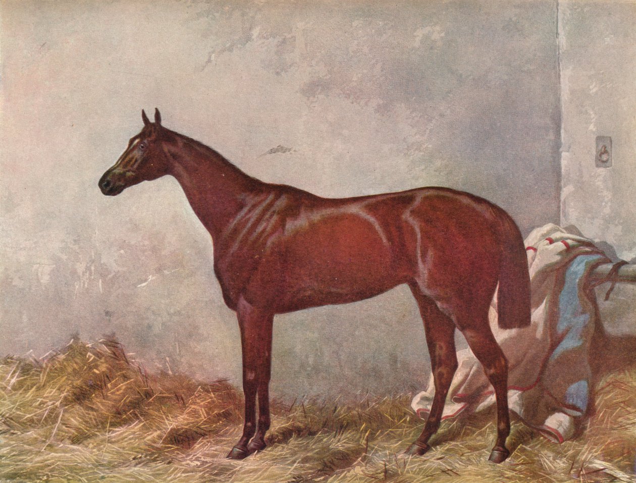 Eremita: vencedor das Estacas Derby em Epsom, 1867, 1903 de William Summers
