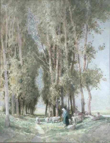 A Shepherdess and her Flock, Holland (aguarela sobre papel) de William Tatton Winter