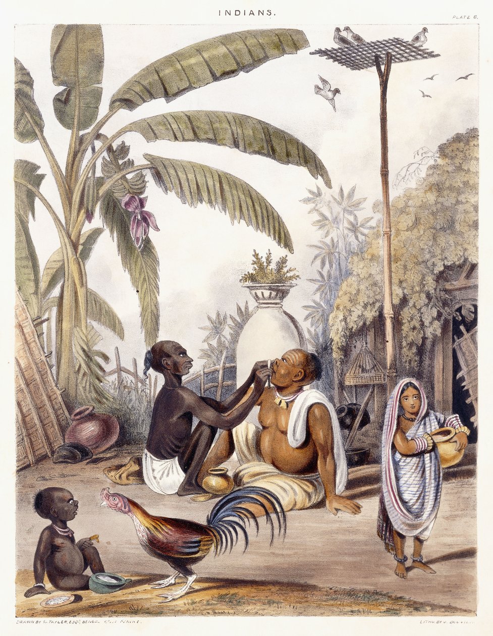 O barbeiro da vila, 1842 de William Tayler