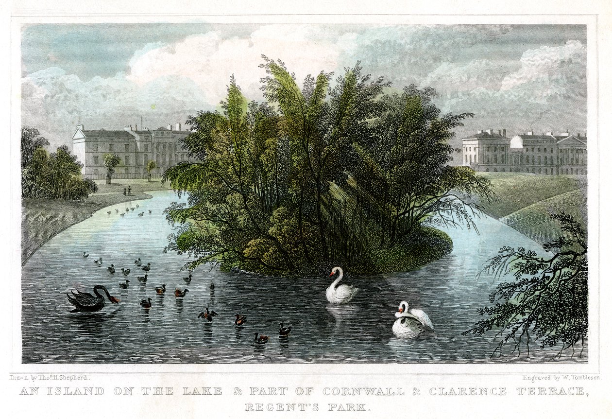 Ilha no lago e parte dos terraços de Cornualha e Clarence, Regents Park, Londres, 1828. de William Tombleson
