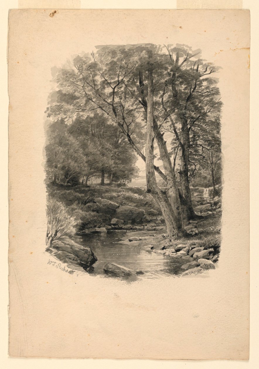 Desenho, Piscina no bosque, 1874 de William Trost Richards