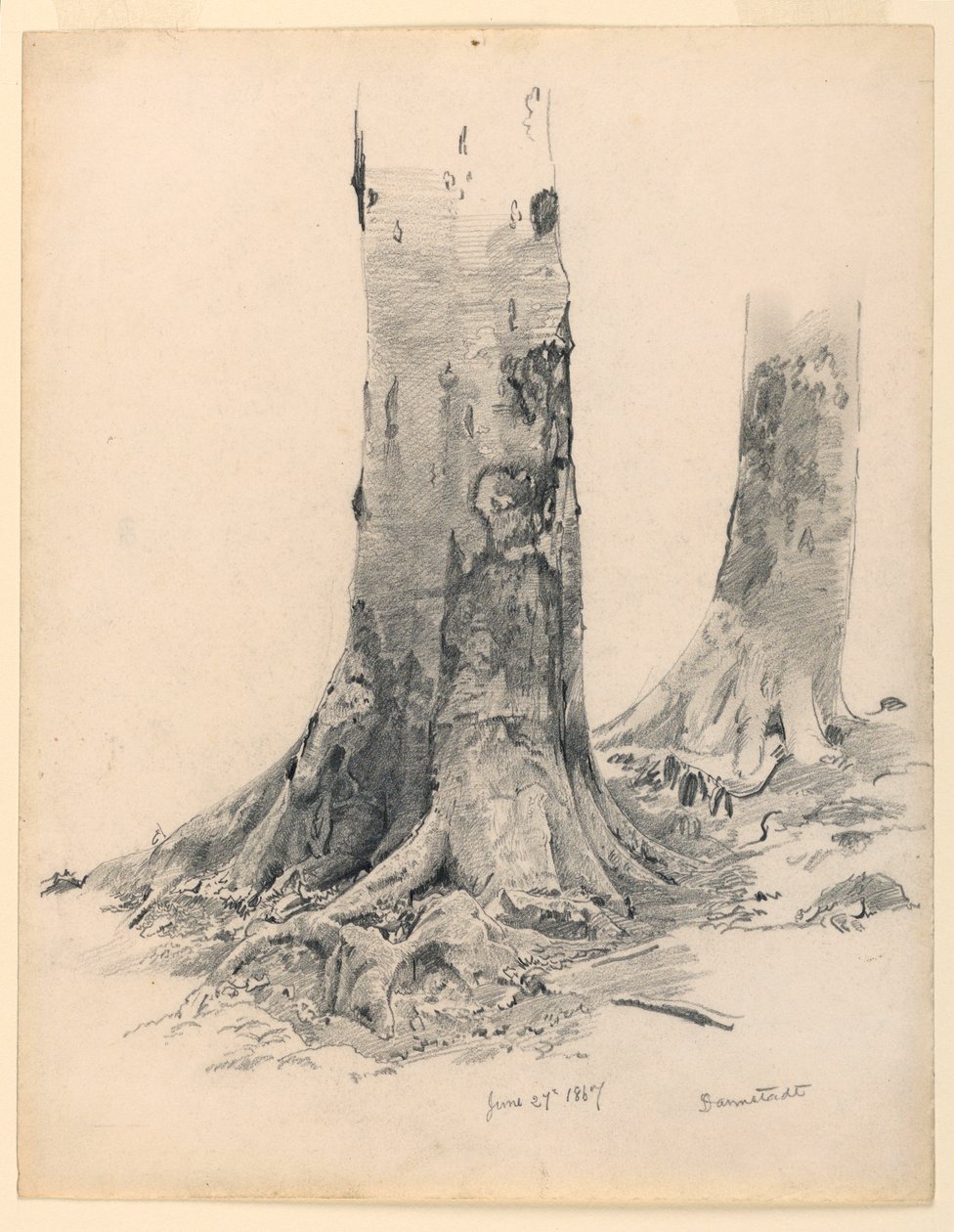 Desenho, Troncos de árvores, Darmstadt, 27 de junho de 1867 de William Trost Richards