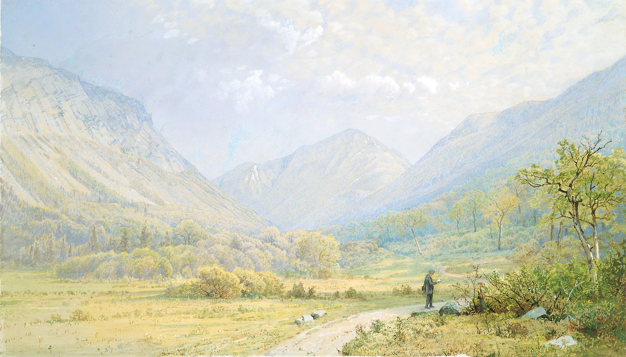 Entalhe de Franconia, New Hampshire, 1872. de William Trost Richards