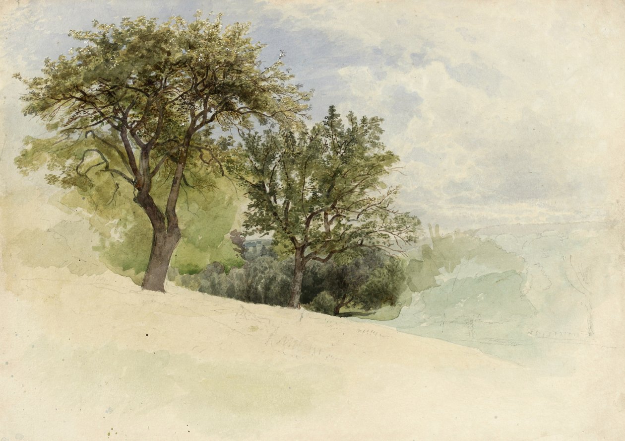 Paisagem com árvores em uma encosta, 1880-85 (wc, grafite e toques de guache branco em papel pesado creme wove) de William Trost Richards