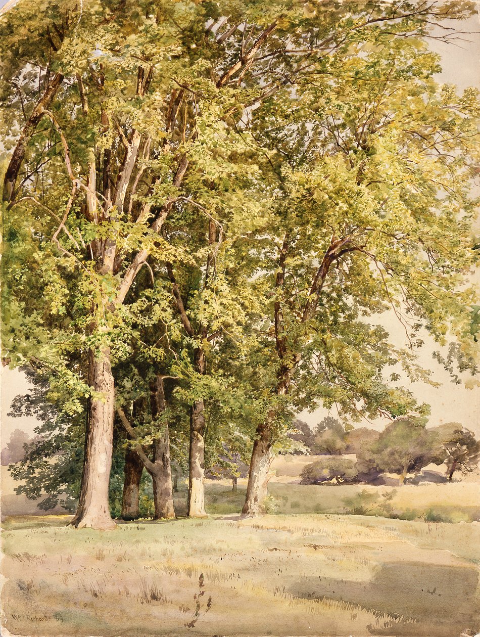 Maples no Condado de Chester, Pensilvânia de William Trost Richards