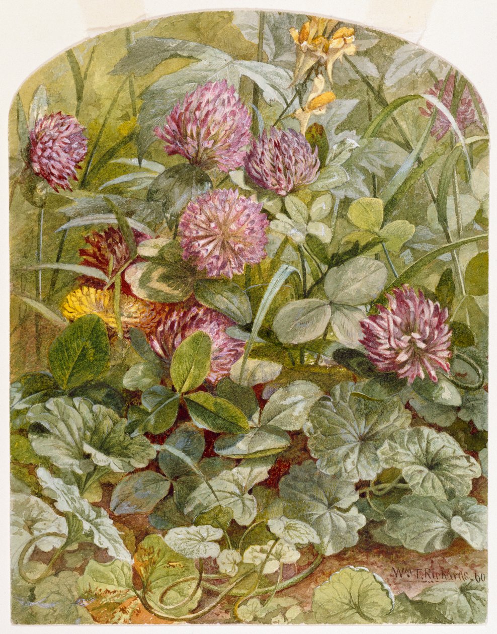 Trevo-vermelho com linária e hera-terrestre de William Trost Richards