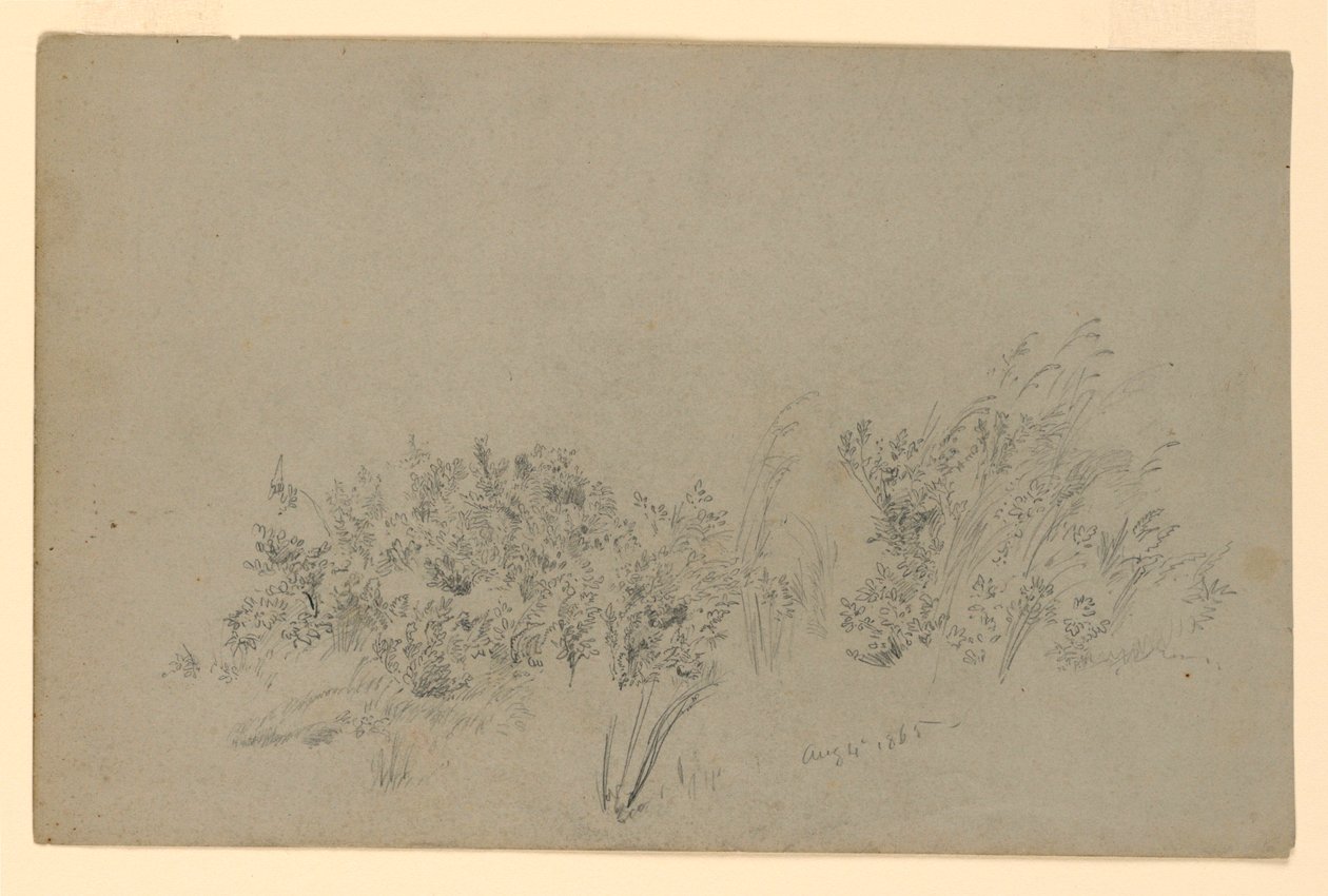 Estudo da folhagem de William Trost Richards