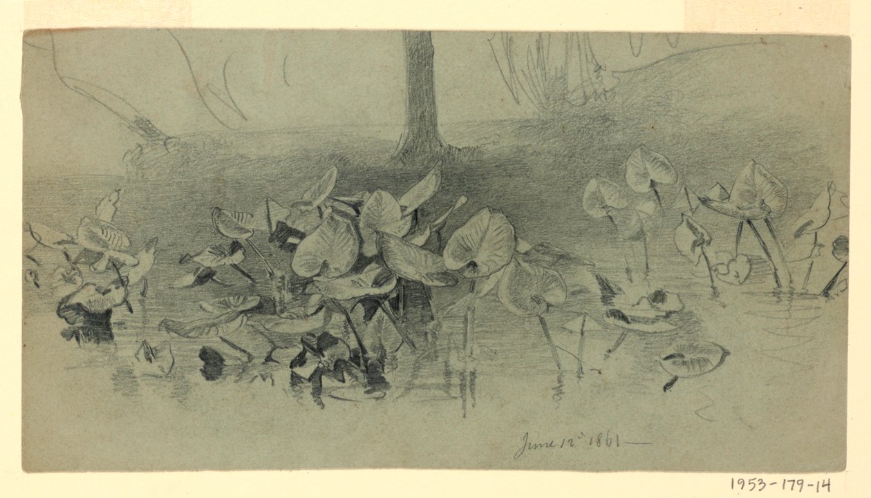 Estudo da folhagem de William Trost Richards