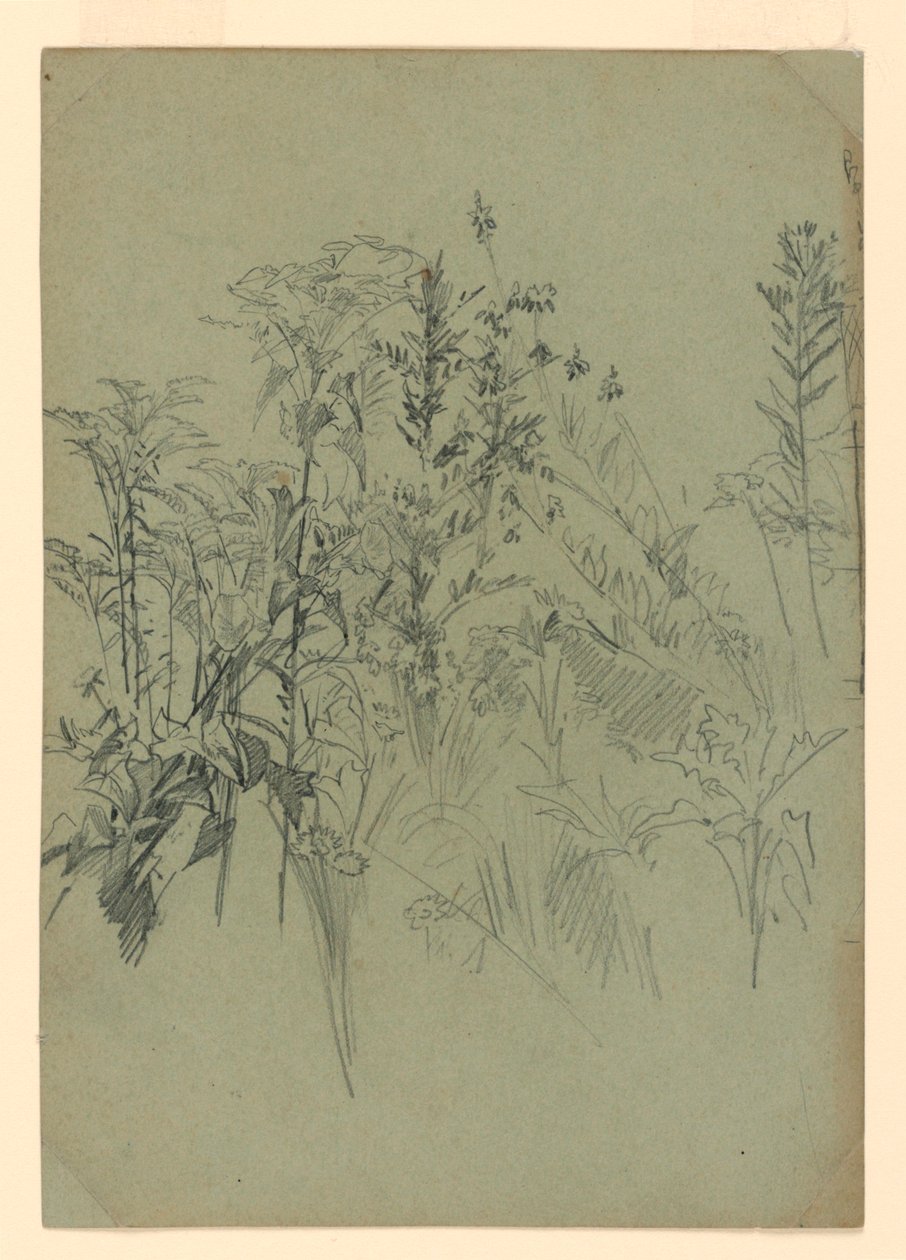 Estudo da folhagem de William Trost Richards