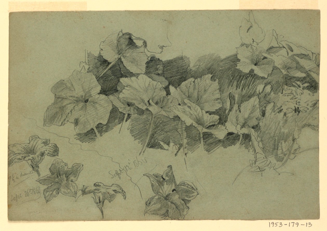 Estudo da folhagem de William Trost Richards