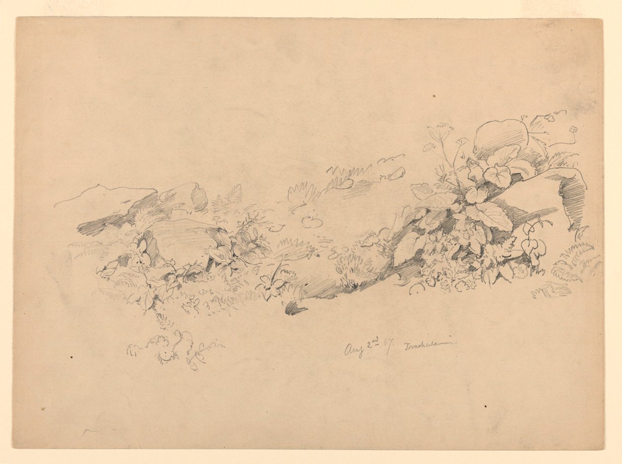 Estudo da folhagem, Trachselwald, Berna, Suíça de William Trost Richards