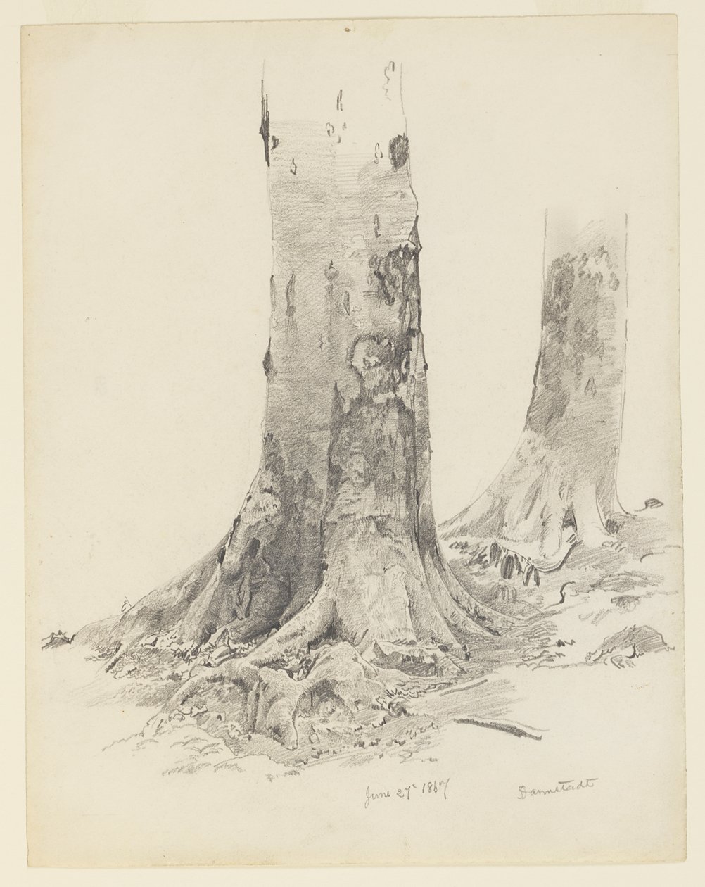 Troncos de árvore, Darmstadt de William Trost Richards